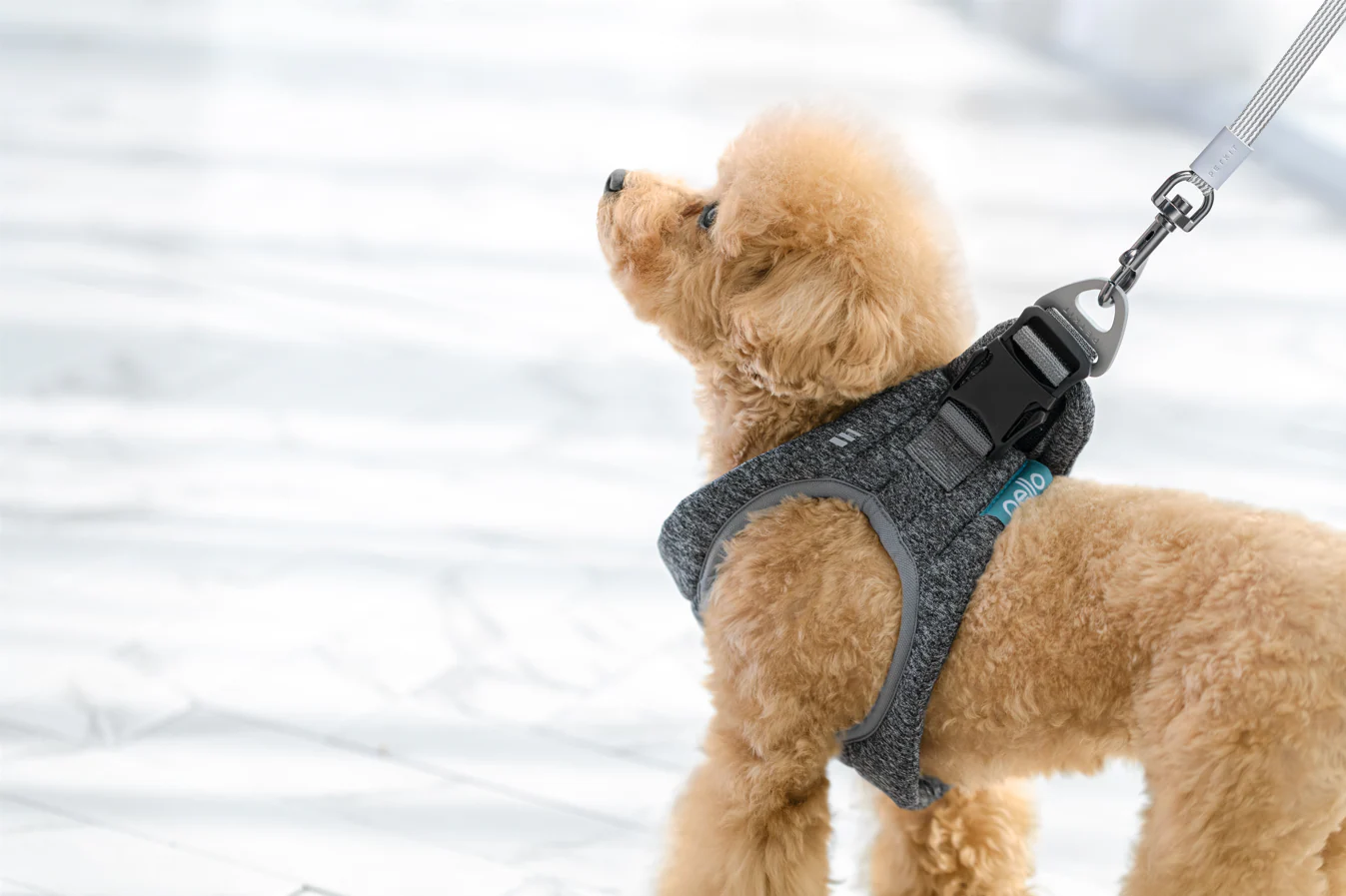 NELLO Airpro Harness (NH-A10) - Image 3