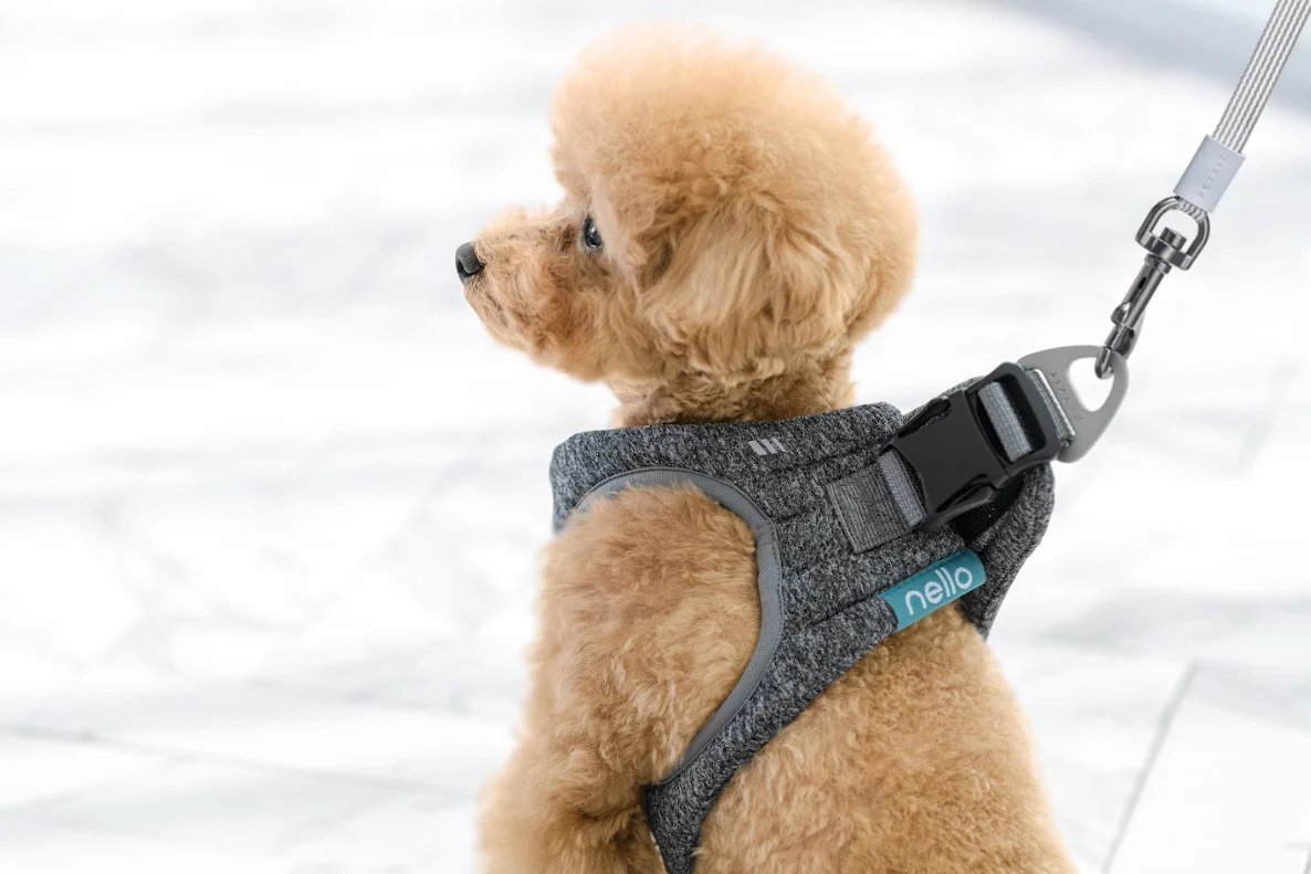 NELLO Airpro Harness (NH-A10) - Image 4